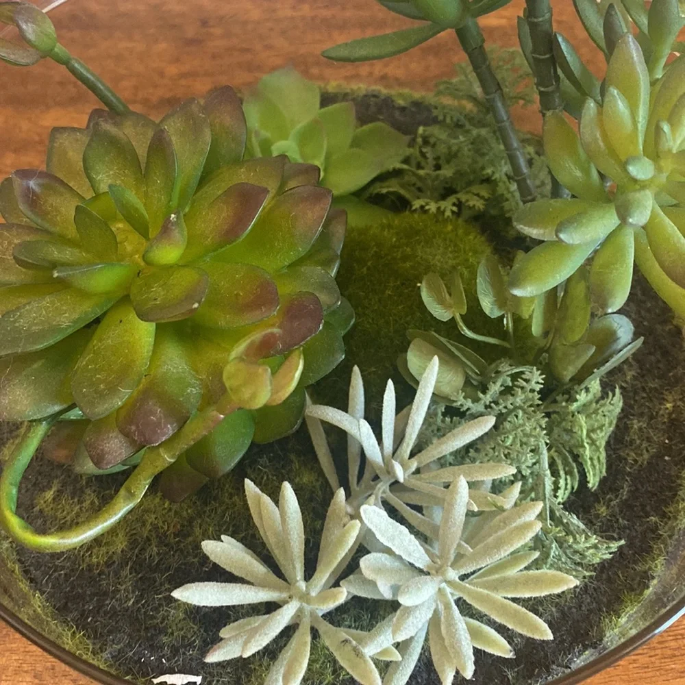 Target Threshold. Succulents in terrarium Glass bowl arrangement.